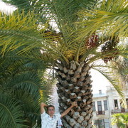 ���������� �������, ���� ������� ������, 45 ���, ������������ 