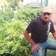  --,   , 49 ,   c 
