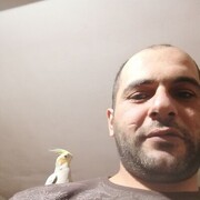 ���������� ����, ���� ������� �����, 37 ���, ������������ ��� ����� � ���������, c�������� ���������, ���������