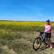 ���������� �����, ���� ������� �����, 42 ����, ������������ ��� ����� � ���������, c�������� ���������