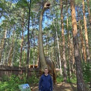 ���������� ������������, ���� ������� �����, 37 ���, ������������ 