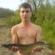 ���������� ����, ���� ������� ������, 40 ���, ������������ ��� ������