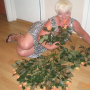  ,   JELENA, 64 ,     , c 