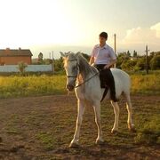 ���������� ������-��-����, ���� ������� �������, 31 ���, ������������ ��� ������, ����� � ���������, c�������� ���������