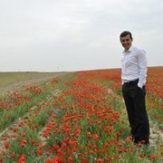  ,   Roi280583, 42 ,   