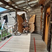 ���������� �����������, ���� ������� �������, 44 ����, ������������ ��� ������, ����� � ���������, c�������� ���������