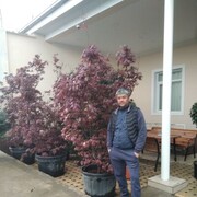  ,   Zzzzz, 45 ,   ,   
