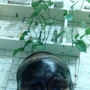 ���������� �����-���������, ���� ������� ��, 40 ���, ������������ ��� ������, ����� � ���������