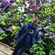  ,   , 43 ,   c 