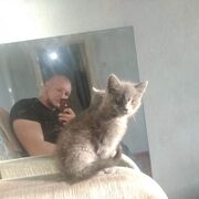  -,   , 28 ,   ,   , c 