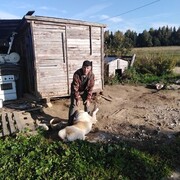  ,   , 60 ,   c 