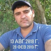 ���������� ���������, ���� ������� �������, 44 ����, ������������ 