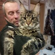 ���������� �����, ���� ������� ��������, 47 ���, ������������ ��� ������, ����� � ���������