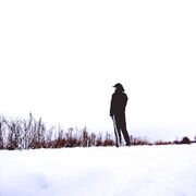 ���������� �����-���������, ���� ������� �����, 29 ���, ������������ ��� ����� � ���������, c�������� ���������