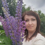  ,  , 46