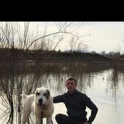 ���������� ���������, ���� ������� ������, 34 ����, ������������ ��� ������, ����� � ���������, c�������� ���������, ���������