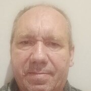  -,   , 51 ,   ,   