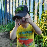 ���������� �����, ���� ������� ���������, 29 ���, ������������ ��� ������, ����� � ���������, c�������� ���������