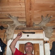  ,   , 55 ,  