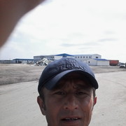 ���������� �����-���������, ���� ������� Sardor, 41 ���, ������������ ��� ������, ����� � ���������, c�������� ���������, ���������