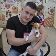 ���������� �����, ���� ������� �����, 43 ����, ������������ ��� ������, ����� � ���������, c�������� ���������