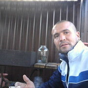 ���������� ���������, ���� ������� SANJAR, 40 ���, ������������ ��� ������, ����� � ���������, c�������� ���������, ���������