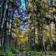 ���������� ������, ���� ������� �������, 47 ���, ������������ ��� ������, ����� � ���������