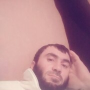  ,  zamiR, 35