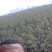 ���������� �������, ���� ������� Rus, 35 ���, ������������ ��� ������, ����� � ���������, c�������� ���������