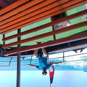 ���������� ���������, ���� ������� ��������, 40 ���, ������������ ��� ������, ����� � ���������