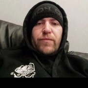  -,   , 41 ,  
