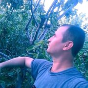 ���������� �����-���������, ���� ������� ����, 44 ����, ������������ ��� ������, ����� � ���������