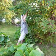  ,   , 66 ,   ,   , c , 