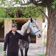 ���������� �����-���������, ���� ������� �������, 36 ���, ������������ ��� ������, ����� � ���������