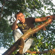  ,   , 38 ,   ,   , c 