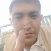 ���������� ��������, ���� ������� �����, 38 ���, ������������ ��� ������, ����� � ���������, c�������� ���������