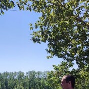 ���������� �����������, ���� ������� ����, 26 ���, ������������ ��� ������, ����� � ���������