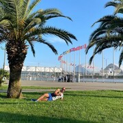 ���������� �������, ���� ������� ������, 28 ���, ������������ ��� ������, ����� � ���������, c�������� ���������