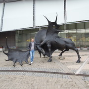 ���������� �������, ���� ������� �����, 37 ���, ������������ ��� ������, ����� � ���������, c�������� ���������, ���������