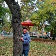  --,    , 55 ,   ,   , c 