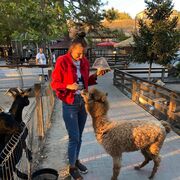 ���������� ������, ���� ������� �����, 31 ���, ������������ ��� ����� � ���������