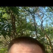 ���������� ���������, ���� ������� ����, 44 ����, ������������ ��� ������, ����� � ���������