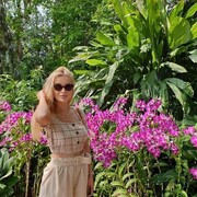 ���������� ������, ���� ������� ���, 33 ����, ������������ ��� ������, ����� � ���������