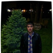 ���������� �����, ���� ������� Woody, 32 ����, ������������ ��� ������, ����� � ���������, c�������� ���������