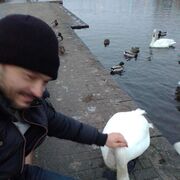 ���������� ������������, ���� ������� ������, 49 ���, ������������ ��� ������, ����� � ���������