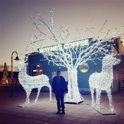 ���������� �������, ���� ������� Gaga, 46 ���, ������������ ��� ������, ����� � ���������, c�������� ���������