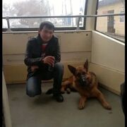 ���������� ���-���, ������� ����, 35