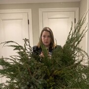 ���������� ������, ���� ������� ���������, 39 ���, ������������ ��� ������, ����� � ���������, c�������� ���������