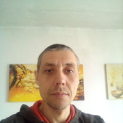  ,   , 41 ,   