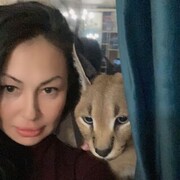 ���������� ������, ���� ������� ����, 40 ���, ������������ ��� ������